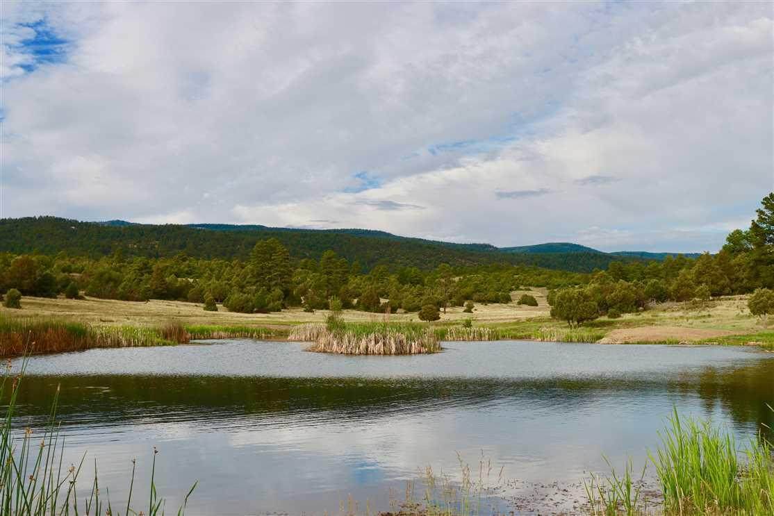 Milligan Ranch - Photo 1