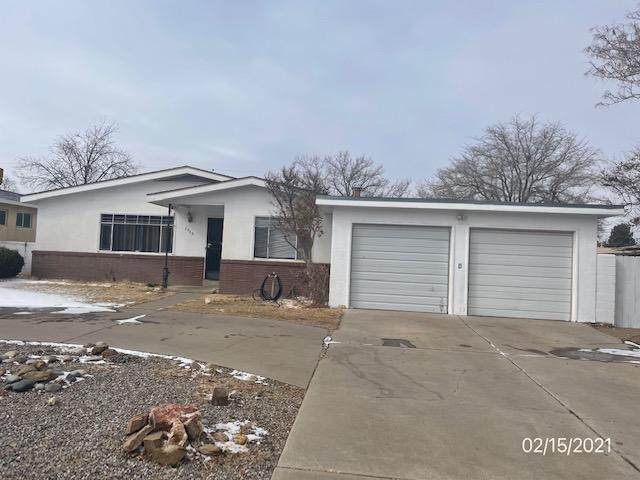 1313 Chama Street - Photo 1