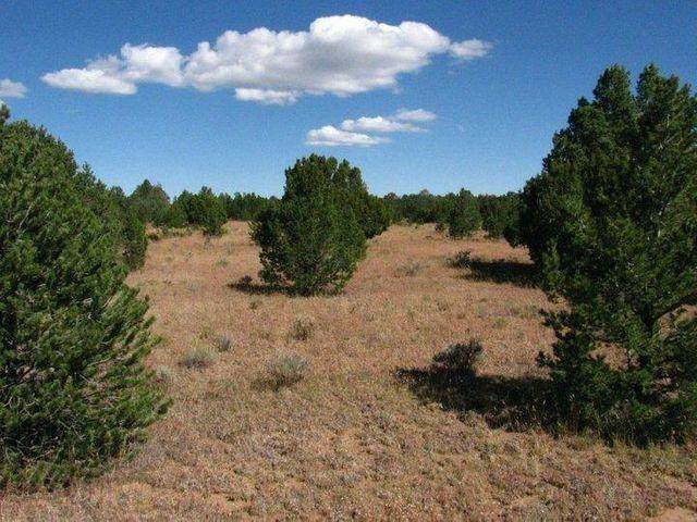 Tierra Verde Lands - Photo 1