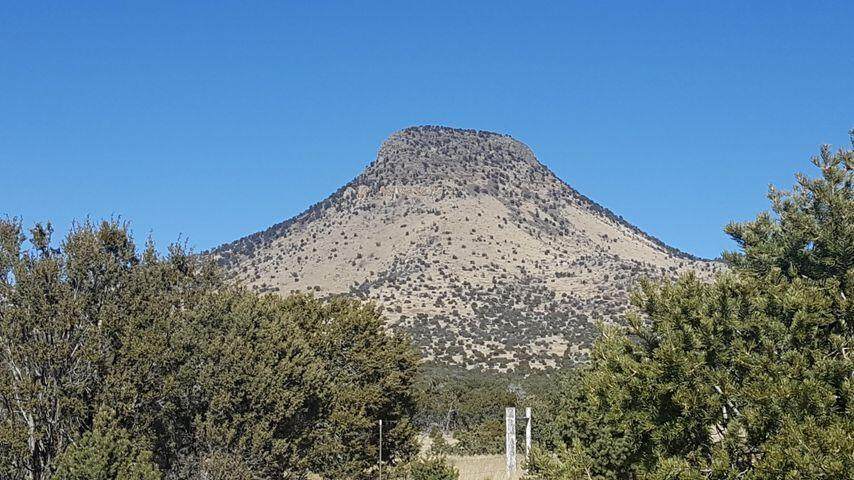 105 Sugarloaf Mountain - Photo 1