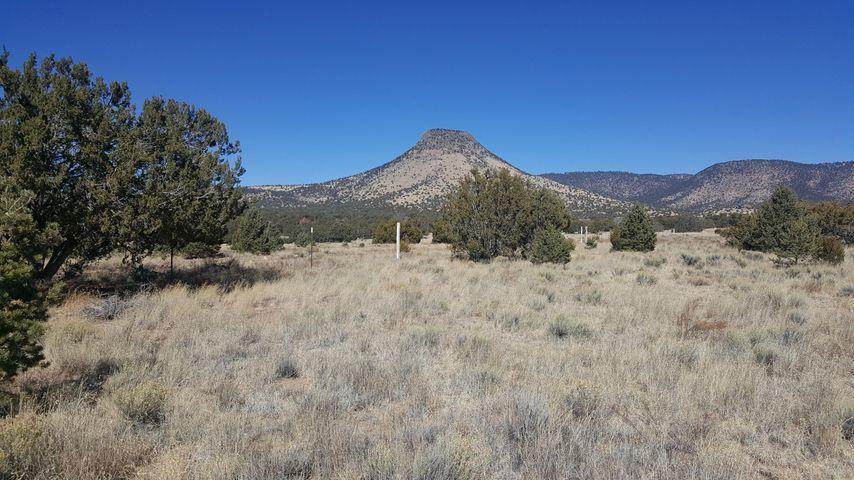 106 & 107 Sugarloaf - Photo 1