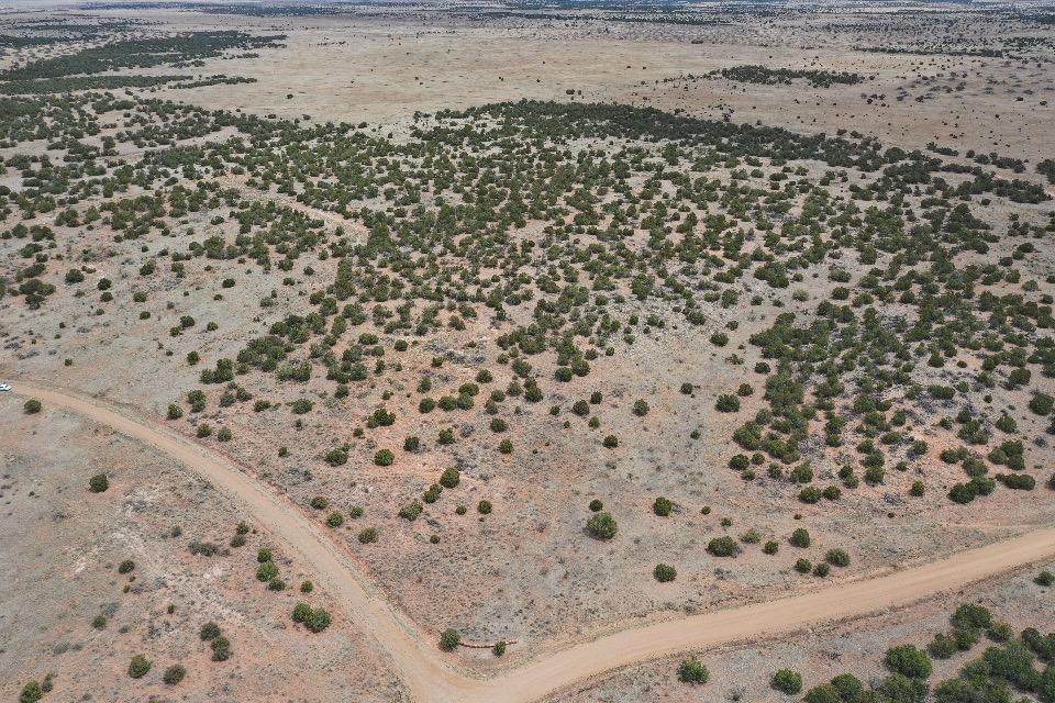195 Keres Trail - Photo 1