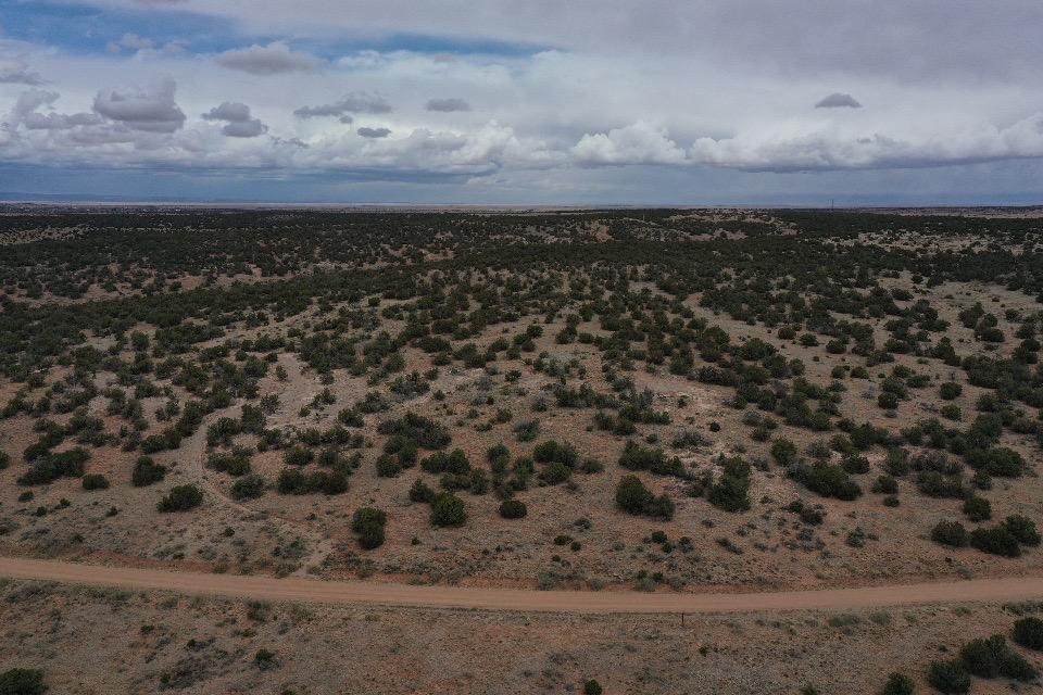 733 Jumano Trail - Photo 1