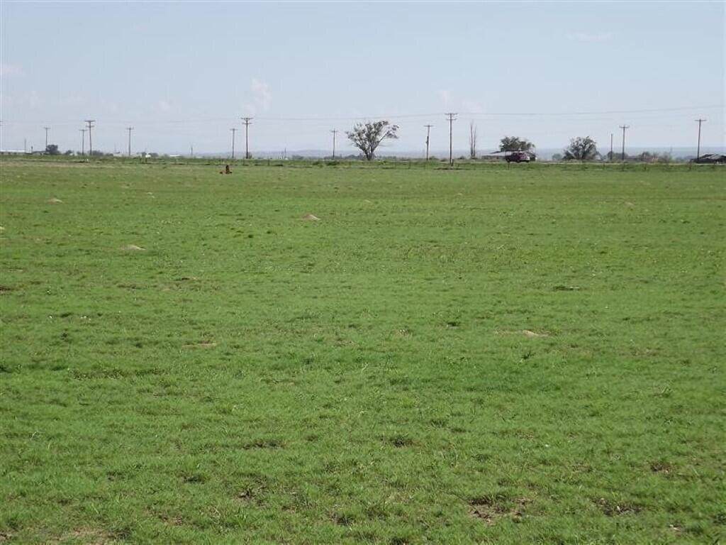 1480 Nm 41 - Photo 1