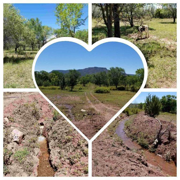 0 Agua Caliente - Photo 1