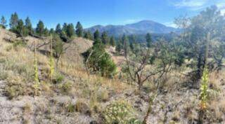 Lot 4 Cerro Redondo - Photo 1