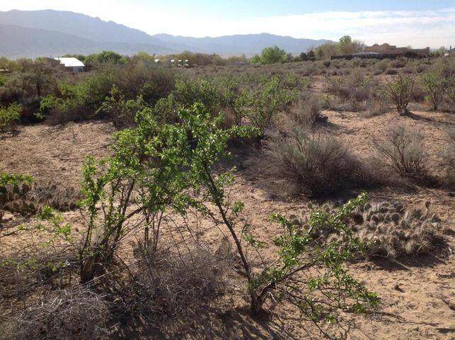 Lot 5 Paseo Trinidad Road - Photo 1