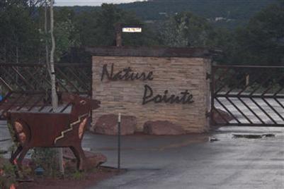 46 Nature Pointe Drive - Photo 1