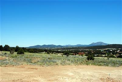1 Mustang Mesa Trail - Photo 1