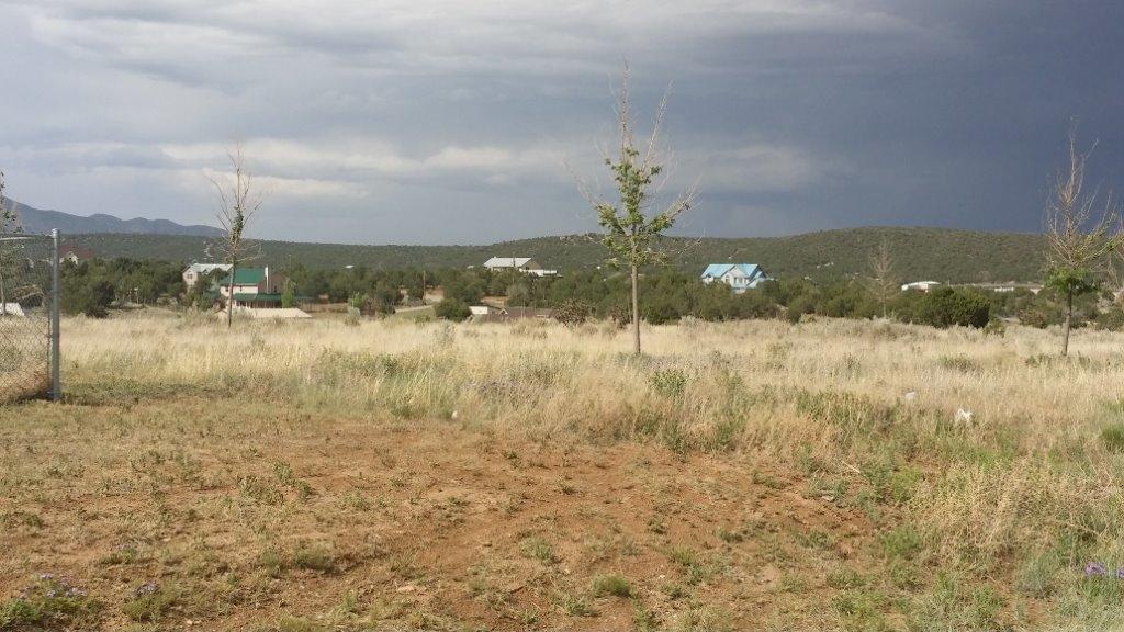 10 Colby Court - Photo 1