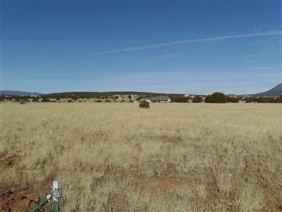19 Indian Sky Lane - Photo 1