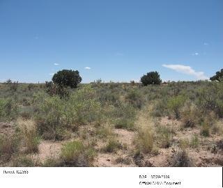 Unit 23 - Photo 1