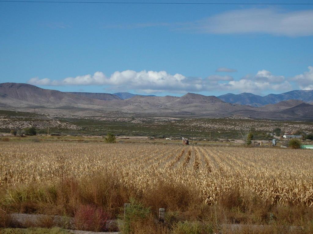 San Antonio Farm - Photo 1