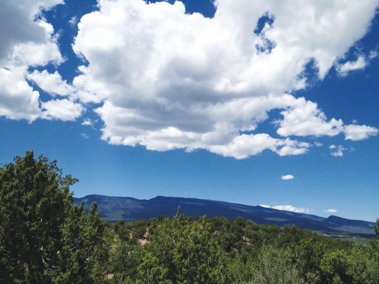 10 Paleo Trail - Photo 1