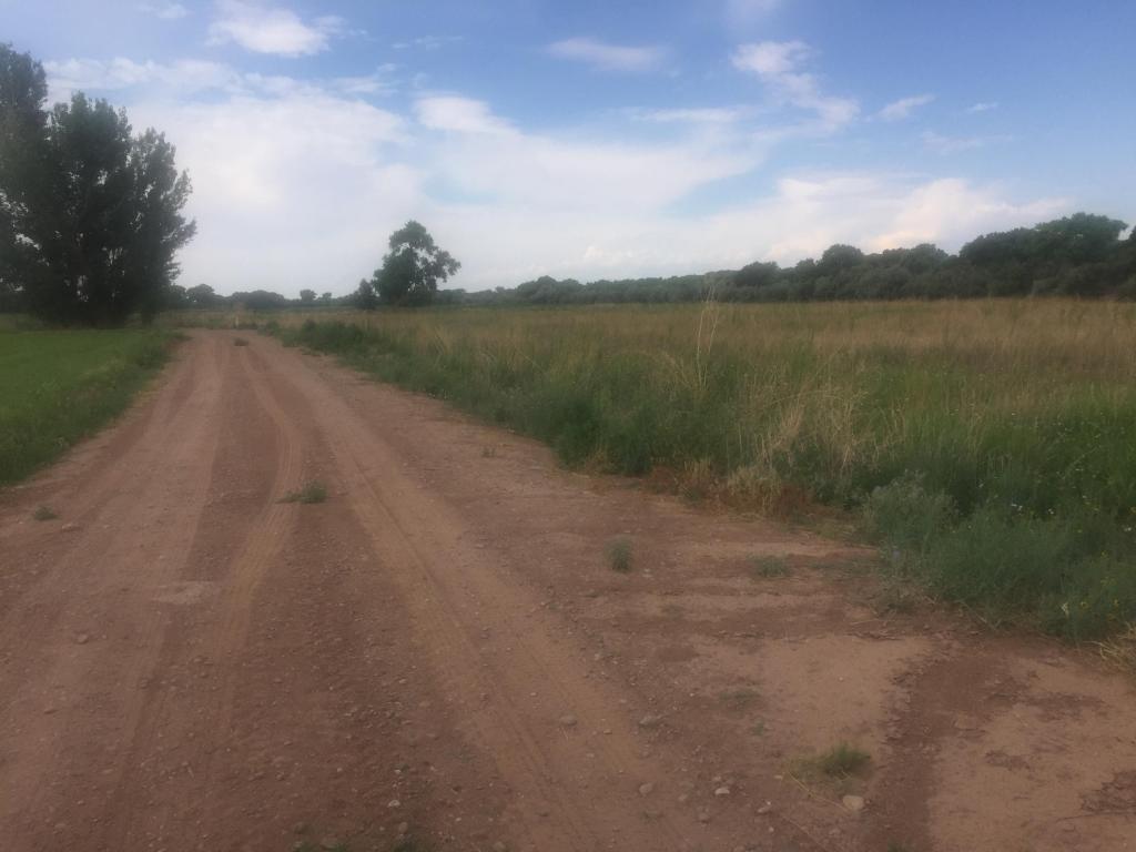 Sara Lane Road - Photo 1