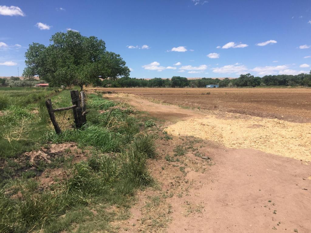 Veguita Farmroad - Photo 1