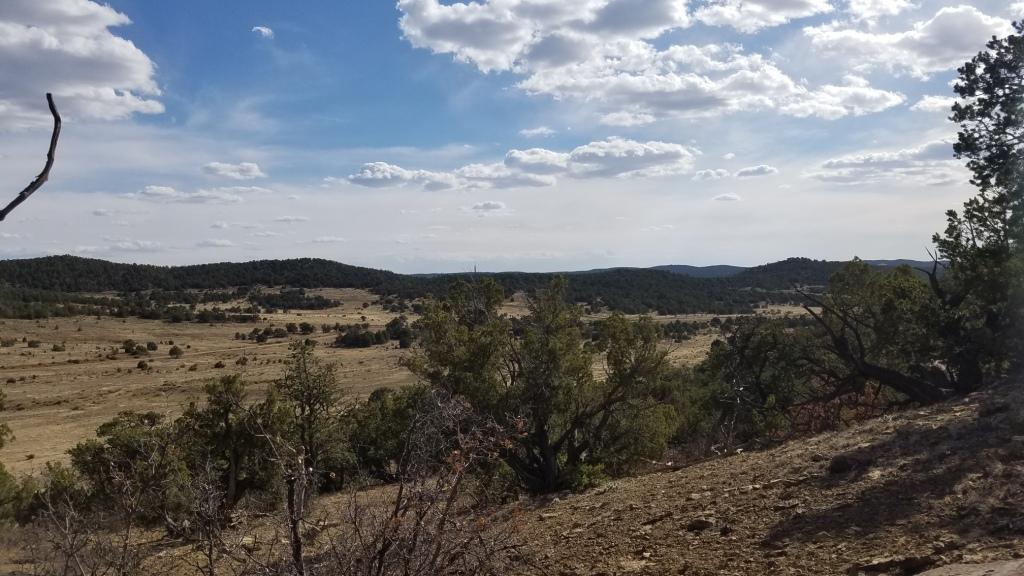 U4 Lot 18 Wild Horse Ranch - Photo 1