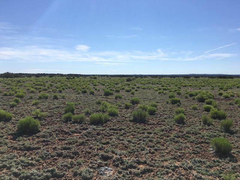 40 Acres - Photo 1