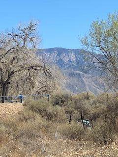 7406 Corrales Road - Photo 1