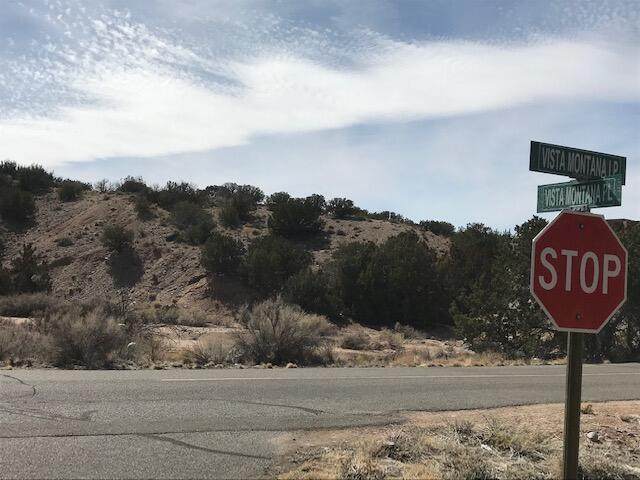 35 Vista Montana Loop - Photo 1