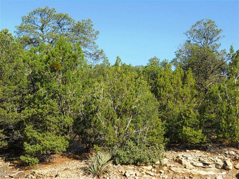 30 Rancho Verde Road - Photo 1