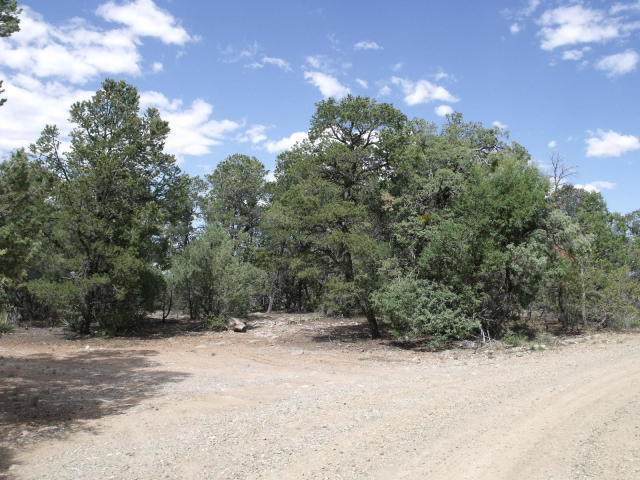 642 Co Rd B43b - Photo 1