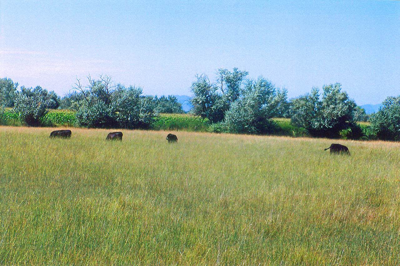 Highway 304 - Photo 1