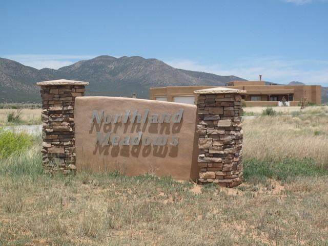 10 Northland Meadows Place - Photo 1