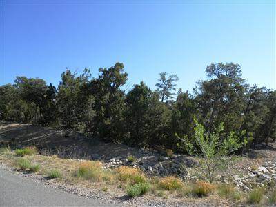 195 Via Sedillo Road - Photo 1