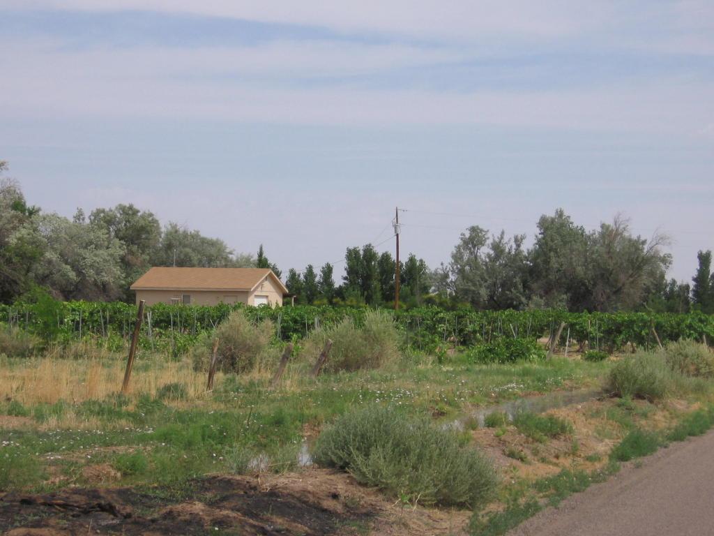 0 Olive Lane - Photo 1