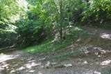 TBD Bedsaul Road - Photo 10