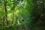 TBD Bedsaul Road - Photo 11