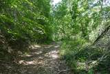 TBD Bedsaul Road - Photo 12