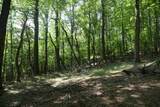 TBD Bedsaul Road - Photo 13