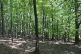 TBD Bedsaul Road - Photo 14