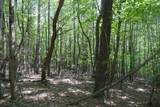 TBD Bedsaul Road - Photo 15