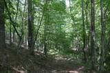 TBD Bedsaul Road - Photo 16