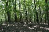 TBD Bedsaul Road - Photo 21