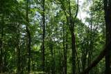 TBD Bedsaul Road - Photo 22