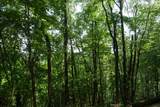 TBD Bedsaul Road - Photo 23