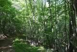 TBD Bedsaul Road - Photo 29