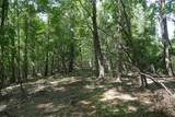 TBD Bedsaul Road - Photo 3