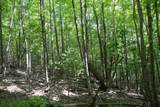 TBD Bedsaul Road - Photo 32