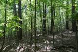 TBD Bedsaul Road - Photo 36