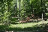 TBD Bedsaul Road - Photo 38