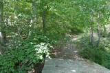 TBD Bedsaul Road - Photo 4