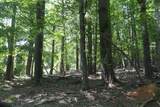 TBD Bedsaul Road - Photo 40