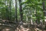 TBD Bedsaul Road - Photo 41