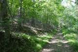 TBD Bedsaul Road - Photo 9