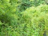 220 Lick Skillet Road - Photo 6